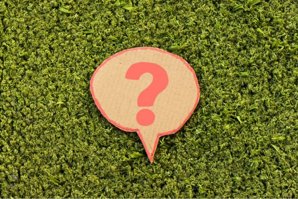 question mark on a cutout cardboard speech bubble on top of grass depicting Commercial Bulk Propane Storage FAQs